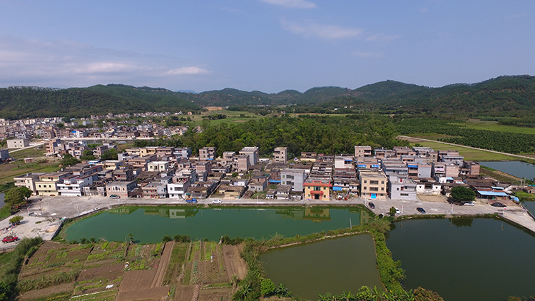 �������ͷ��